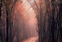 中超：浙江绿城3比0胜深圳新鹏城 补时连入两球中国新闻网.