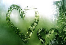 凯恩代表英格兰出场105次，并列排名队史第9位.