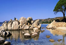 [NBA]穆迪抢下篮板回传外线 巴特勒三分飙进.